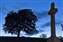 Bolton abbey tree and cross.jpg