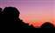 Cow + calf sunset.jpg