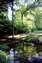 Dales summer reflection.jpg