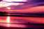 Bamburgh sunset.jpg