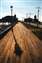 Blackpool Pier.jpg